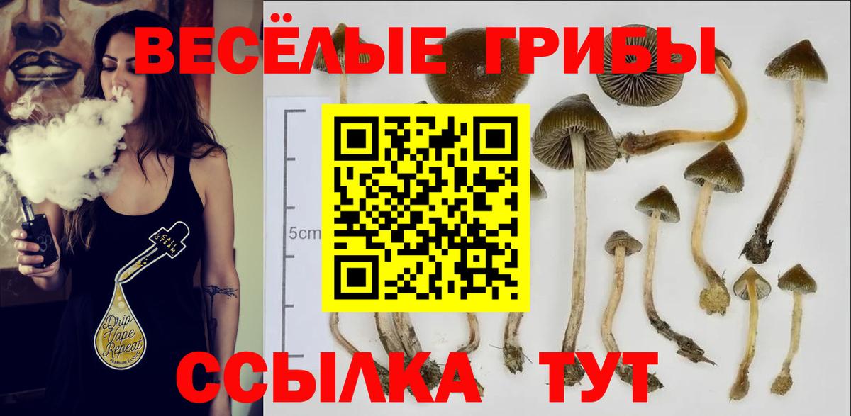 Воркута  Галлюциногенные грибы Psilocybe  Вход с VPN 