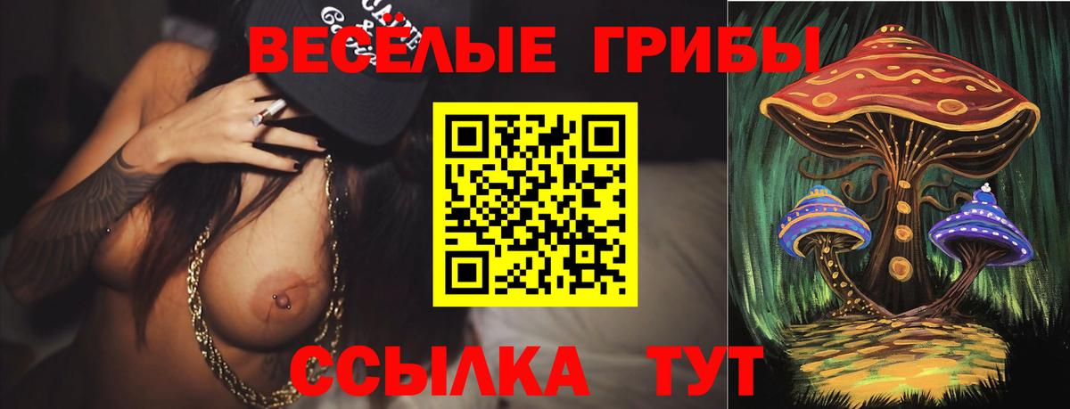 Галлюциногенные грибы GOLDEN TEACHER Воркута